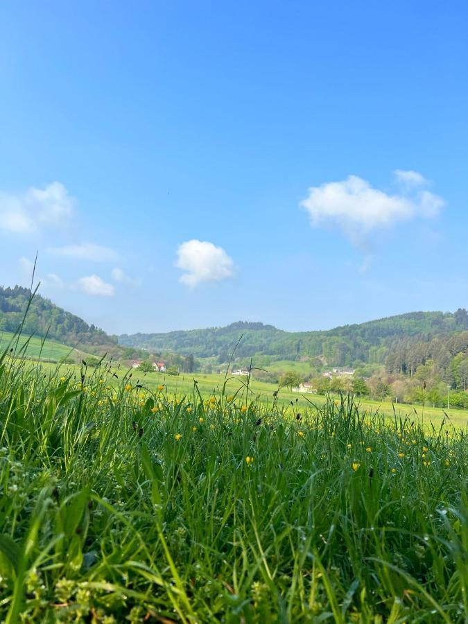 Black Forest Apartments Gengenbach Zewnętrze zdjęcie